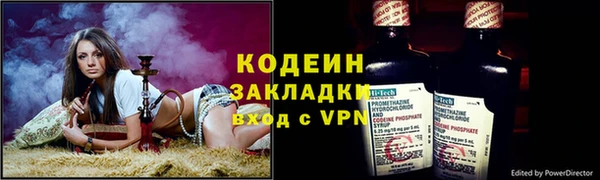 хмурый Алзамай