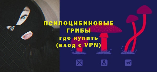 ГАЛЛЮЦИНОГЕННЫЕ ГРИБЫ Алексеевка