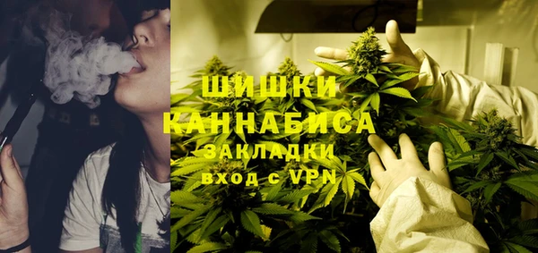 ГАЛЛЮЦИНОГЕННЫЕ ГРИБЫ Алексеевка