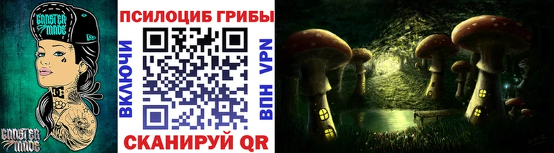 МЕГА ONION  Находка  Псилоцибиновые грибы Magic Shrooms 