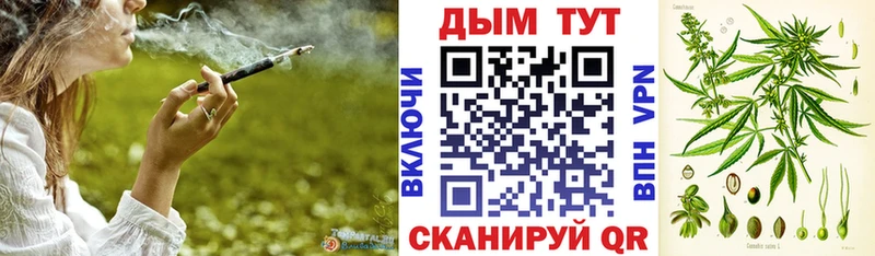 Каннабис Ganja  наркота  Находка 